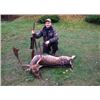 Image 1 : TROP Hunting Agency - Poland - 4 Days 1 Hunter 1 Wild Boar