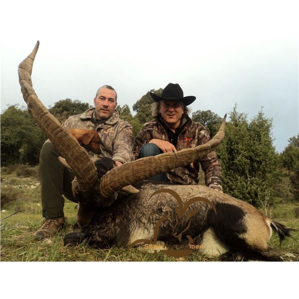 SMC Spain Hunting Ibex                                                                 Beceite Ibex