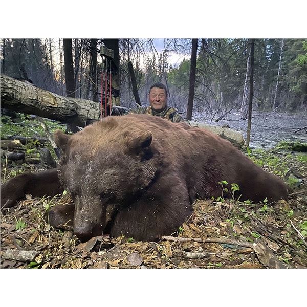 Timberlost  Saskatchewan Bear Hunt