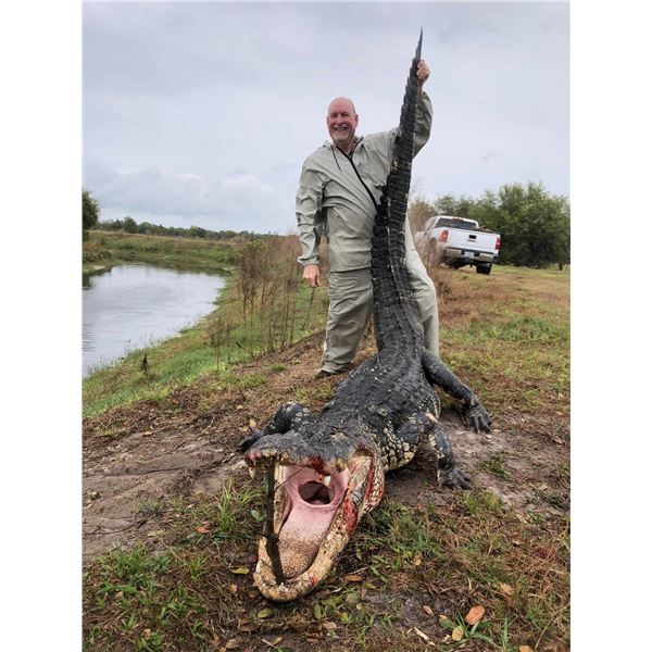 FLORIDA ALLIGATOR, IGUANA AND PEACOCK BASS EXTRAVAGANZA