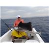 Image 1 : ALL INCLUSIVE MEXICO DEEP SEA FISHING