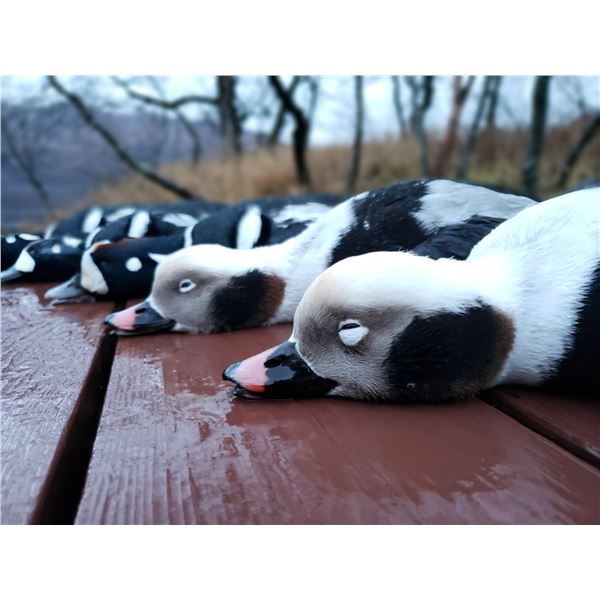 KODIAK ISLAND SEA DUCK HUNT FOR 2 WITH FOX BONUS