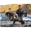 Image 8 : KODIAK ISLAND SEA DUCK HUNT FOR 2 WITH FOX BONUS