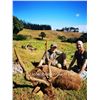 Image 1 : MAURITIUS ISLAND RUSA DEER HUNT
