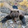 Image 1 : SPRING GRIZZLY BEAR/WOLF COMBO HUNT