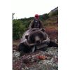 Image 6 : SPRING GRIZZLY BEAR/WOLF COMBO HUNT