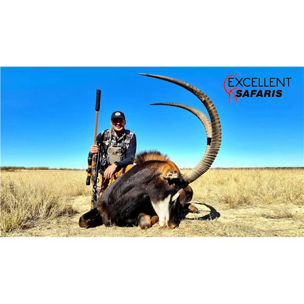 SOUTH AFRICAN SABLE HUNT