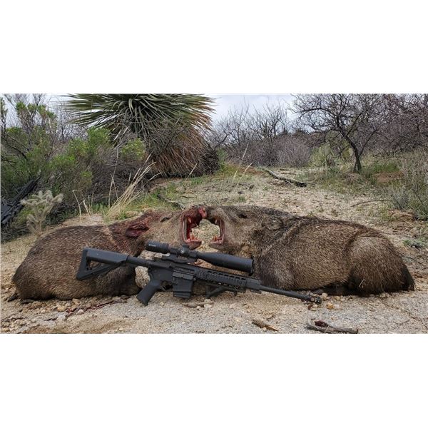 ARIZONA JAVALINA HUNT FOR 2
