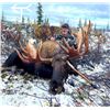 Image 3 : NORTHERN BRITISH COLUMBIA MOOSE HUNT