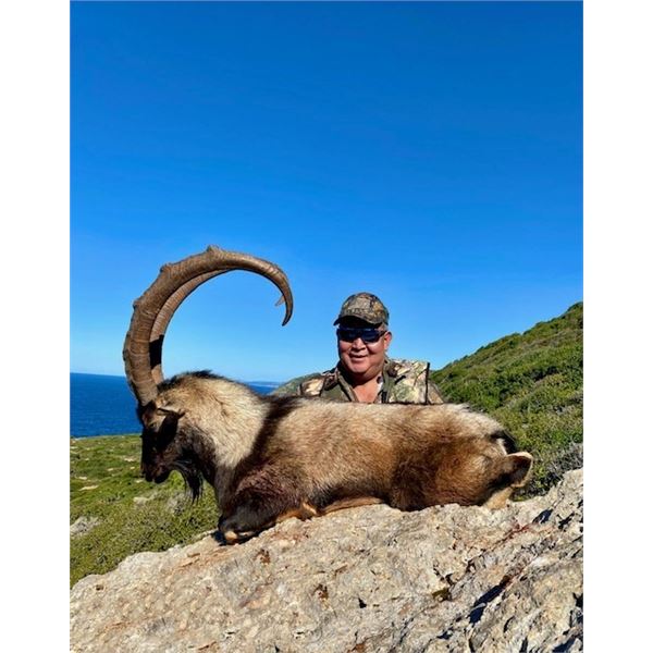 KRI-KRI IBEX HUNT IN GREECE