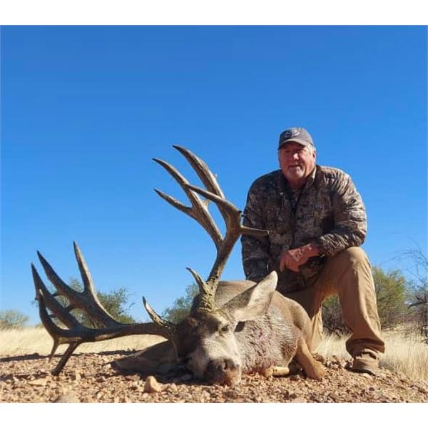 SONORA, MEXICO DESERT MULE DEER HUNT