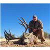 Image 1 : SONORA, MEXICO DESERT MULE DEER HUNT