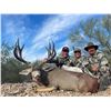 Image 2 : SONORA, MEXICO DESERT MULE DEER HUNT