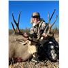 Image 3 : SONORA, MEXICO DESERT MULE DEER HUNT