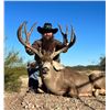 Image 4 : SONORA, MEXICO DESERT MULE DEER HUNT