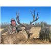 Image 5 : SONORA, MEXICO DESERT MULE DEER HUNT