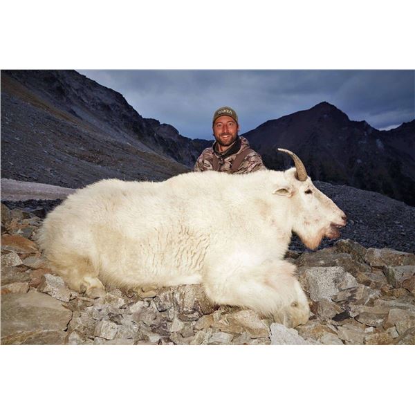 BRITISH COLUMBIA MOUNTAIN GOAT HUNT