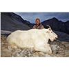 Image 1 : BRITISH COLUMBIA MOUNTAIN GOAT HUNT