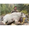 Image 2 : BRITISH COLUMBIA MOUNTAIN GOAT HUNT