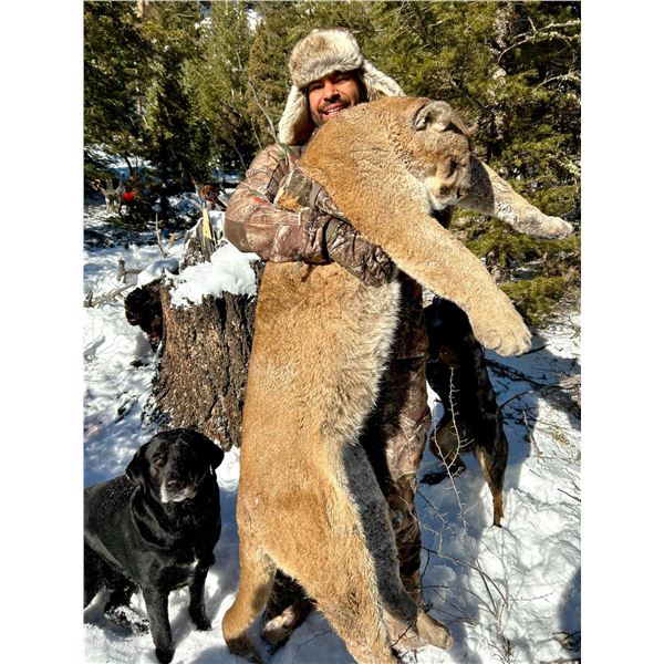 WYOMING MOUNTAIN LION HUNT