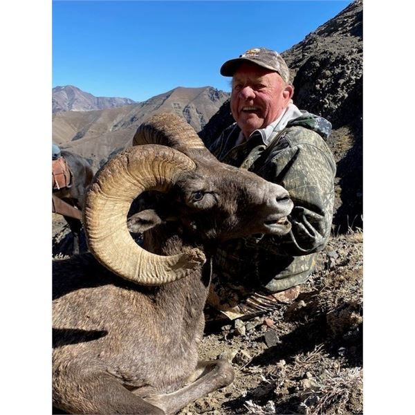 WYOMING BIGHORN SHEEP PERMIT