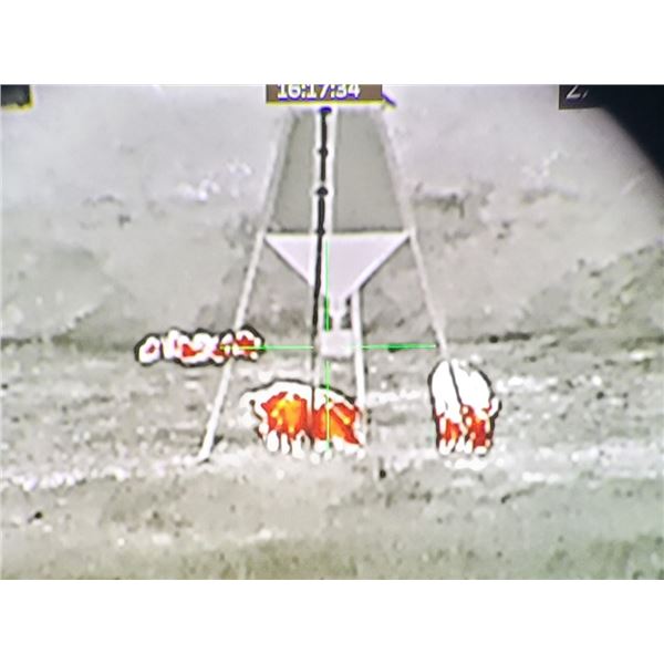 THERMAL HOG HUNT FOR 4 IN TEXAS AT THE THERMAL RANCH