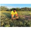 Image 5 : THERMAL HOG HUNT FOR 4 IN TEXAS AT THE THERMAL RANCH