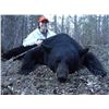 Image 3 : SASKETCHEWAN BLACK BEAR HUNT