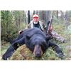 Image 5 : SASKETCHEWAN BLACK BEAR HUNT