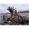 Image 1 : ALASKA CARIBOU HUNT