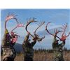 Image 2 : ALASKA CARIBOU HUNT