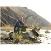 Image 3 : ALASKA CARIBOU HUNT