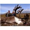 Image 5 : ALASKA CARIBOU HUNT