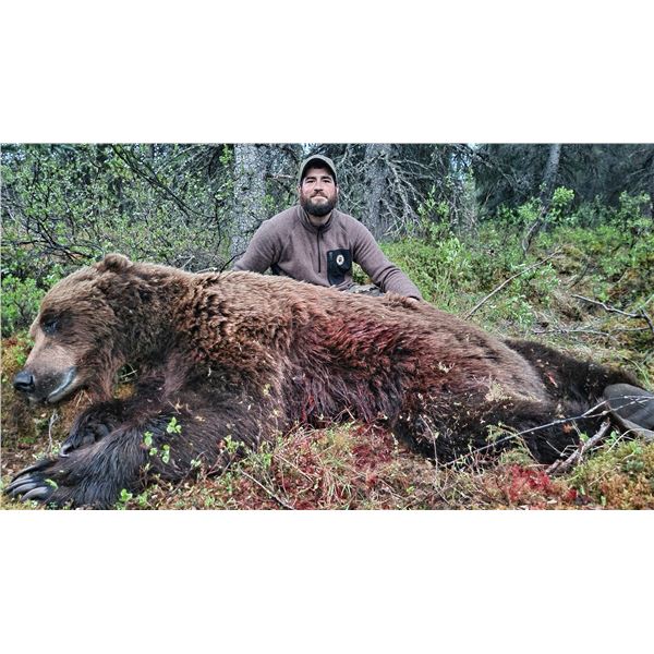 BAITED SPRING GRIZZLY BEAR HUNT
