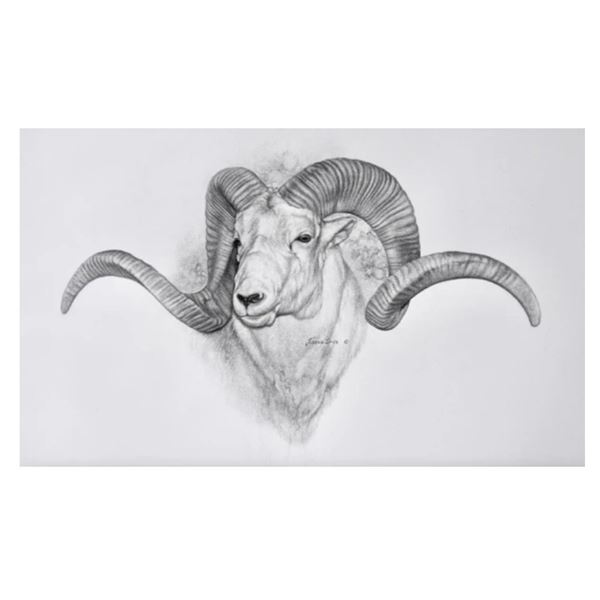 CHARCOAL ORIGINAL- MARCO POLO JOSHUA SPIES FINE ARTWORK