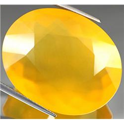 45.09ct. Beautiful Clean RARE Natural Yellow Opal Unheated RETAIL $5000 (GEM-3692)
