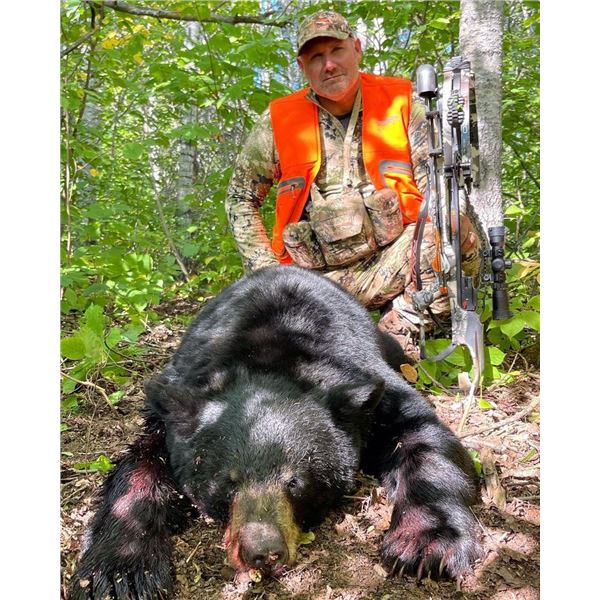 6 Day Black Bear Hunt for One Hunter