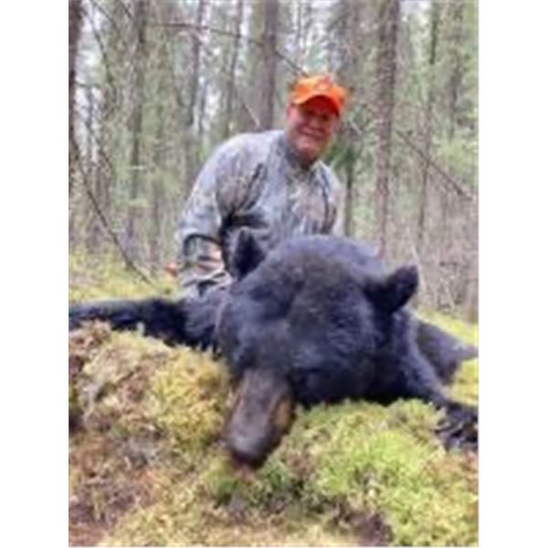 6 Day Black Bear Hunt for One Hunter
