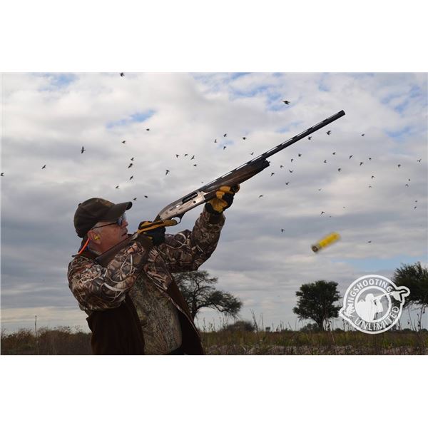 FOUR-DAY ARGENTINA DOVE AND PIGEON HUNT OR DOVE HUNT AND GOLDEN DORADO FISHING FOR FIVE
