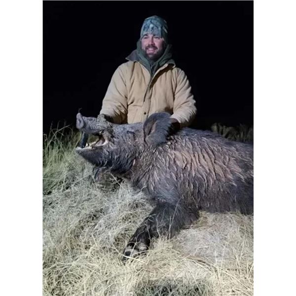 TEXAS PANHANDLE PIG HUNT FOR TWO