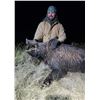 Image 1 : TEXAS PANHANDLE PIG HUNT FOR TWO
