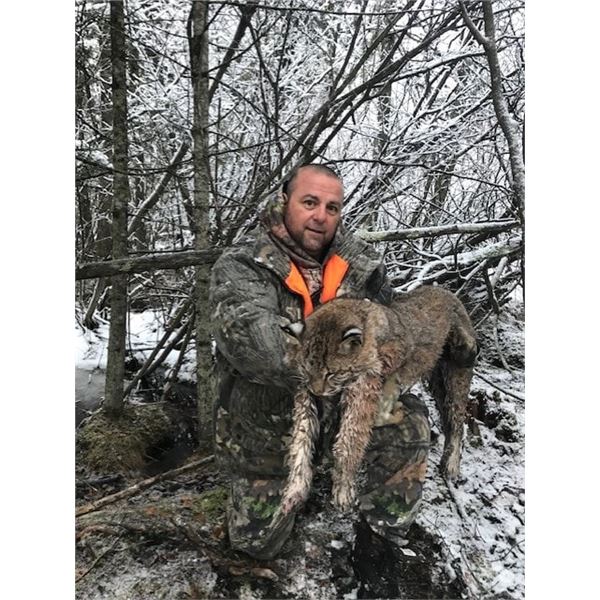 MICHIGAN BOBCAT HUNT FOR ONE HUNTER