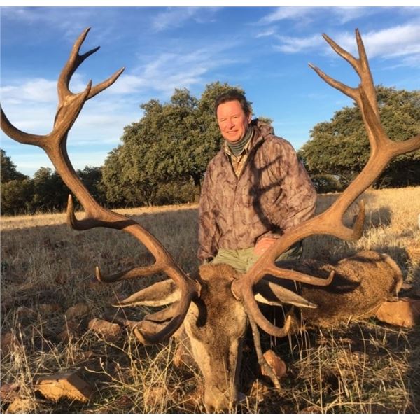 RED STAG HUNT IN SPAIN