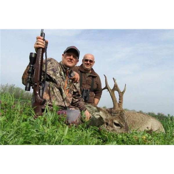 ROE DEER HUNT IN SERBIA FOR TWO HUNTERS