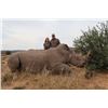 Image 2 : FIVE DAY WHITE RHINO DART HUNT IN SOUTH AFRICA