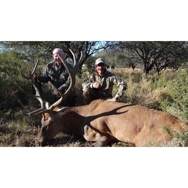 RED STAG HUNT ARGENTINA