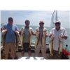 Image 1 : WALLEYE FISHING TRIP FOR SIX PEOPLE ON LAKE ERIE