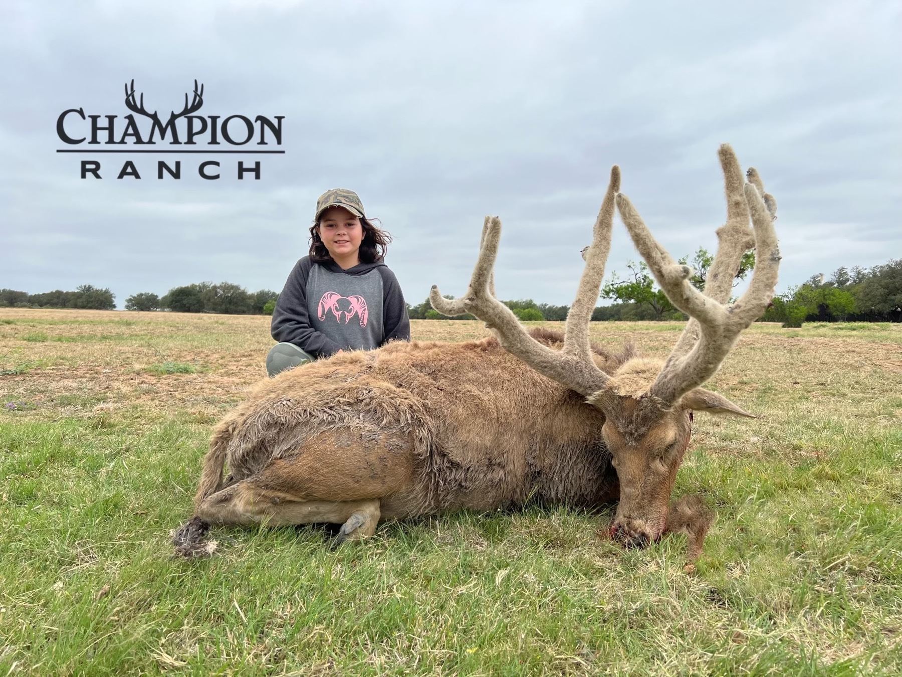 Hunt with Ted Nugent at Champion Ranch with Shoulder Mount and ...