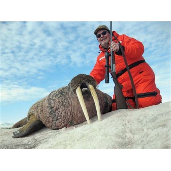 Atlantic Walrus Hunt