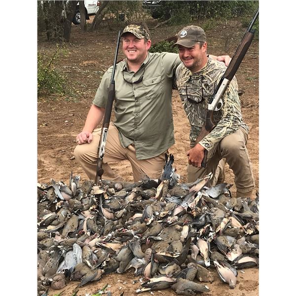 Argentina: 4 Day 5 Night High Volume Dove Hunt for 5 Hunters